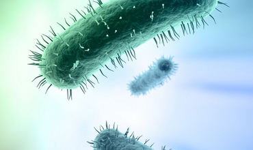 Microbiomul – fiinţele care trăiesc în noi, controlându-ne viaţa